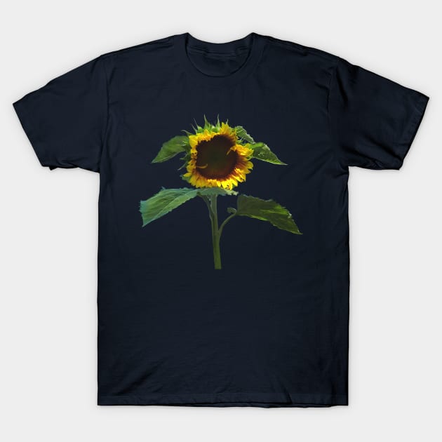 Sunflower With Frilly Edge T-Shirt by SusanSavad